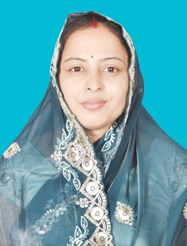 MR.S SHEETAL RAWAL Image