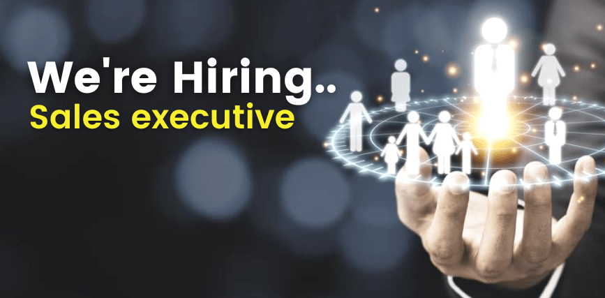 SALES EXECUTIVE