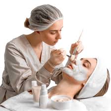 Online Offline Diploma Courses Icon