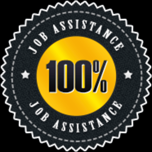 100% Job Placement Assistance Icon
