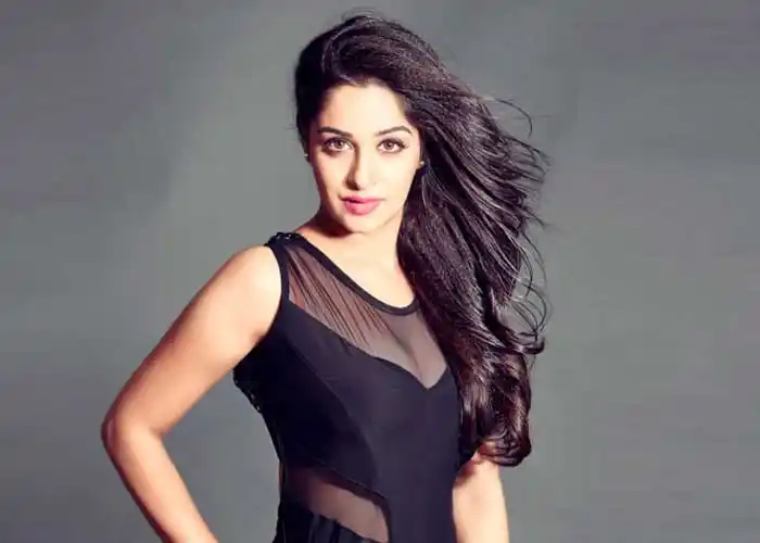 dipika kakar net worth