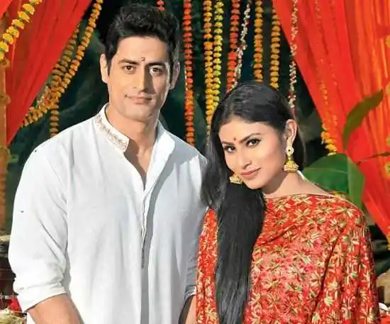 Mohit Raina Relationship