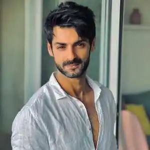 Karan Wahi’s Biography