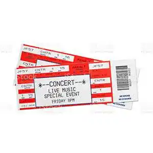 Take Her To A Concert - Birthday Gift For Wife