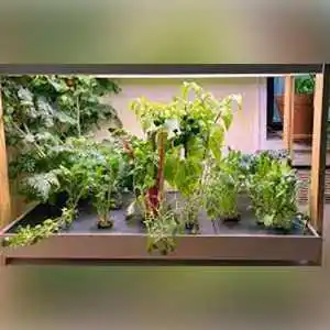 Indoor Garden- Birthday Gifts For Sister