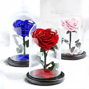 Everlasting Roses - Happy propose day my love