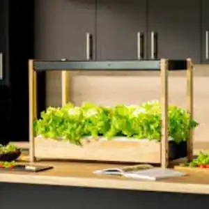 Indoor Garden - birthday gift for wife