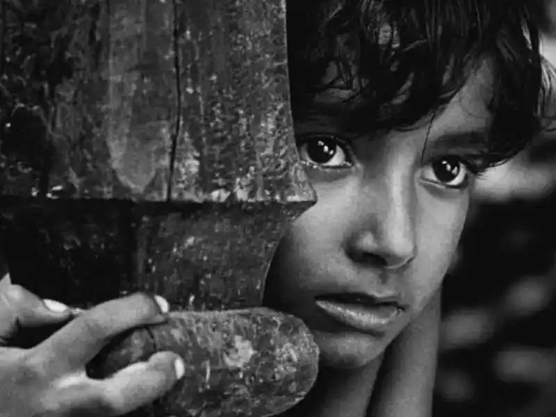 Pather-Panchali-(1955).tring.jpg Pather Panchali (1955).tring