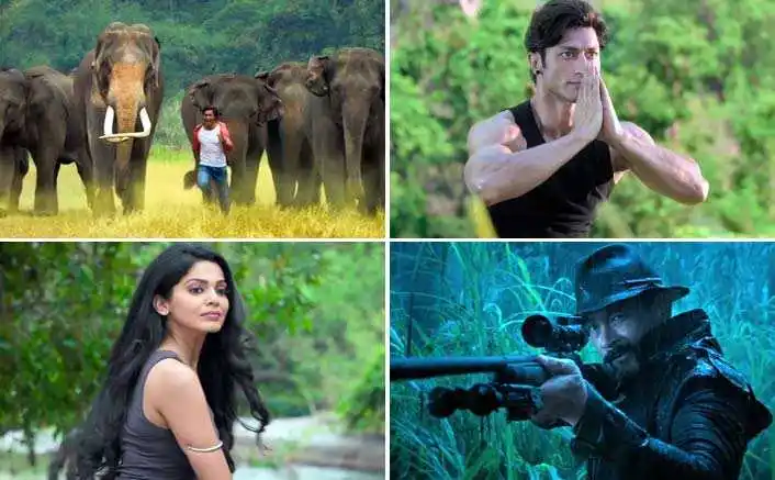 Junglee-cast-story-tring.jpg Junglee-cast-story-tring