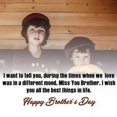 3.jpg brothers day quotes in hindi