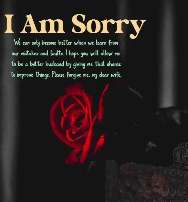 sorry-quotes-for-husband-tring-03.jpg