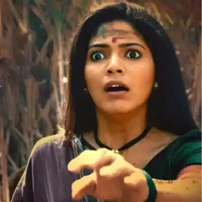 Lapachhapi.jpg Lapachhapi.Tring