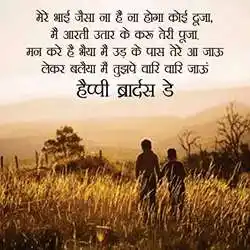 brothers day quotes in hindi