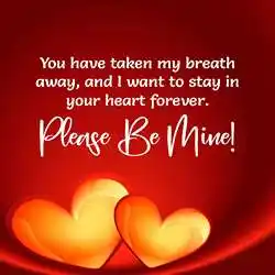 proposal-lines-tring(8).jpg proposal-lines-tring(8)