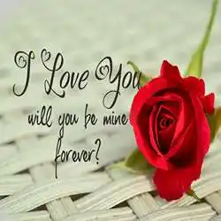 proposal-lines-tring(9).jpg proposal-lines-tring(9)