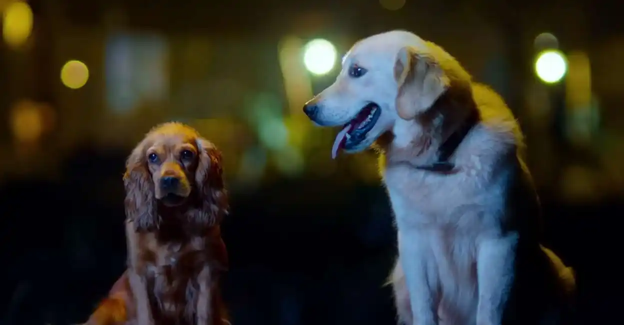 Valatty 2.jpg Valatty-CastingTring.com