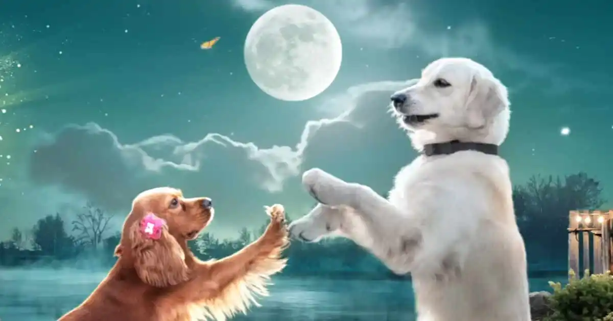 Valatty 1.jpg Valatty-PlotTring.com