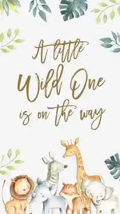 Traditional Godh Bharai Invitation Messages