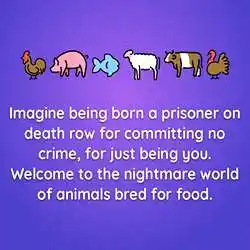 vegan-quotes-tring(9).jpg vegan-quotes-tring(9)