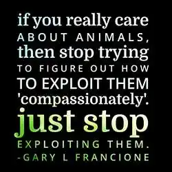 vegan-quotes-tring(2).jpg vegan-quotes-tring(2)