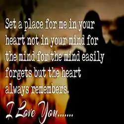 proposal-quotes-tring(3).jpg proposal-quotes-tring(3)