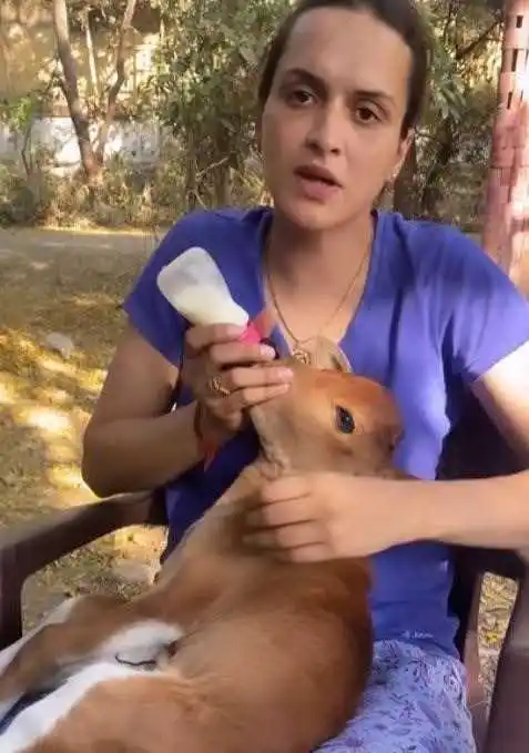 Rupa-Singh-career-tring.jpg Rupa-Singh-career-tring