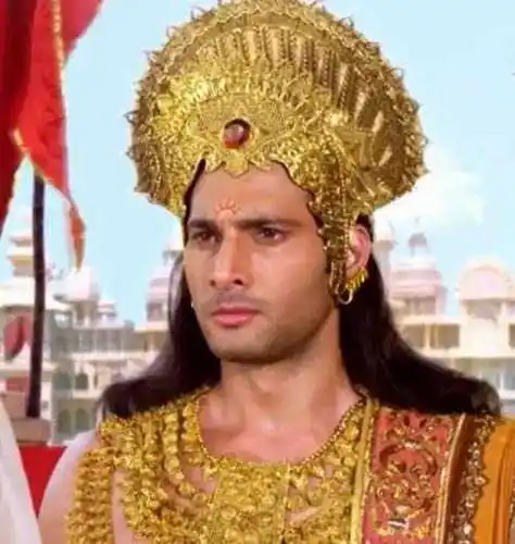 Aham-Sharma-Mahabharat-tring.jpg Aham-Sharma-Mahabharat-tring