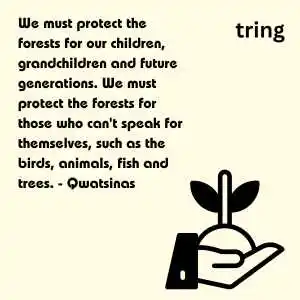 World Environment Day Quotes(3).png World Environment Day Quotes(3)