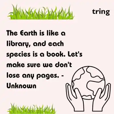 Creative Quotes On Environment.png Creative Quotes On Environment