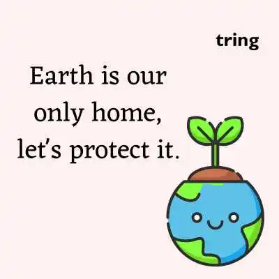 Short Slogans On Environment Day.png Short Slogans On Environment Day