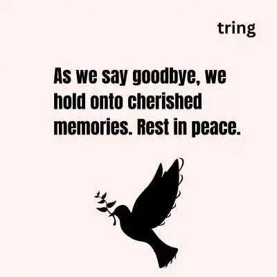 Rest in Peace Quotes as Tributes.png Rest in Peace Quotes as Tributes
