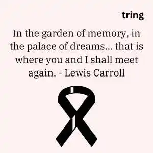 Rest In Peace Quotes (1).png Rest In Peace Quotes (1)