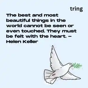 Rest In Peace Quotes (2).png Rest In Peace Quotes (2)