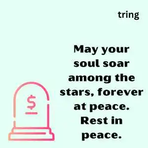 Rest In Peace Quotes (3).png Rest In Peace Quotes (3)
