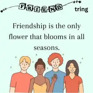 friendship quotes in english (7)