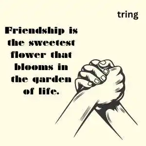 friendship quotes in english (9)
