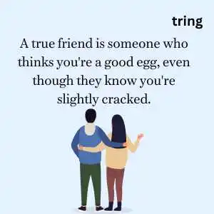 funny friendship quotes (6).png funny friendship quotes (6)