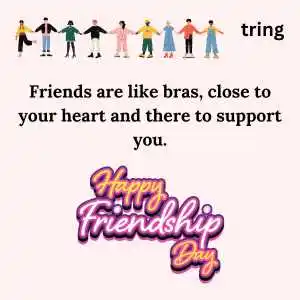 funny friendship quotes (7).png funny friendship quotes (7)