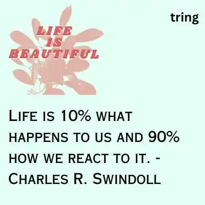 Short Struggling Life Quotes