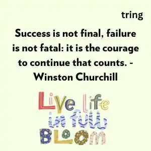 struggling life quotes (3)