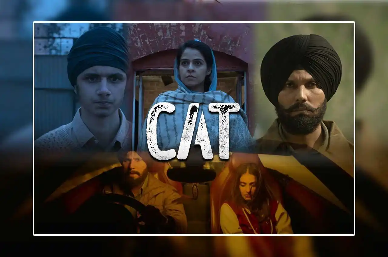 cat web series characters.jpg character analysis of CAT