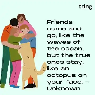 Funny Friendship Quote.png Funny Friendship Quote