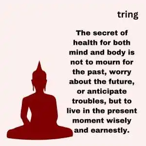 buddha quotes (1).png buddha quotes (1)