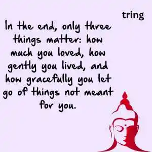 buddha quotes (4).png buddha quotes (4)