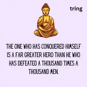 buddha quotes (9).png buddha quotes (9)