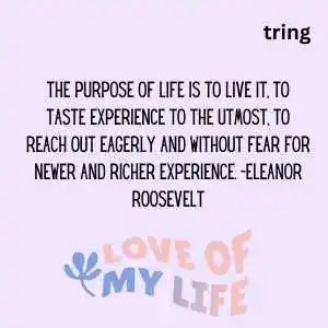 Life Quotes In English (4).png Life Quotes In English (4)