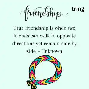 friendship quotes (8).png friendship quotes (8)