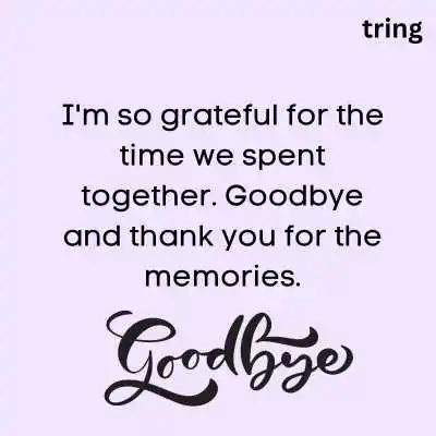 Happy Goodbye Quotes