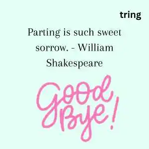 goodbye quotes (4)
