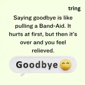 goodbye quotes (9)